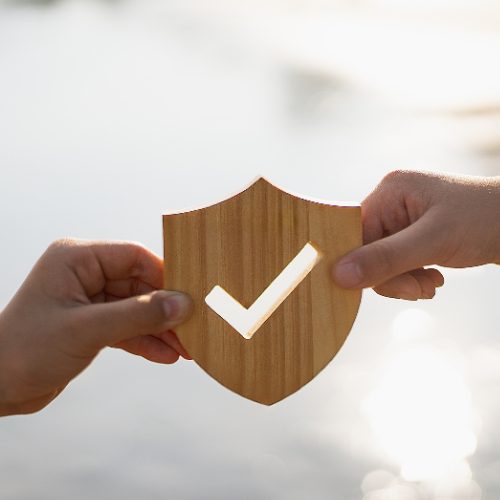 Dos manos sosteniendo un escudo de madera con un símbolo de verificación, emblema de protección